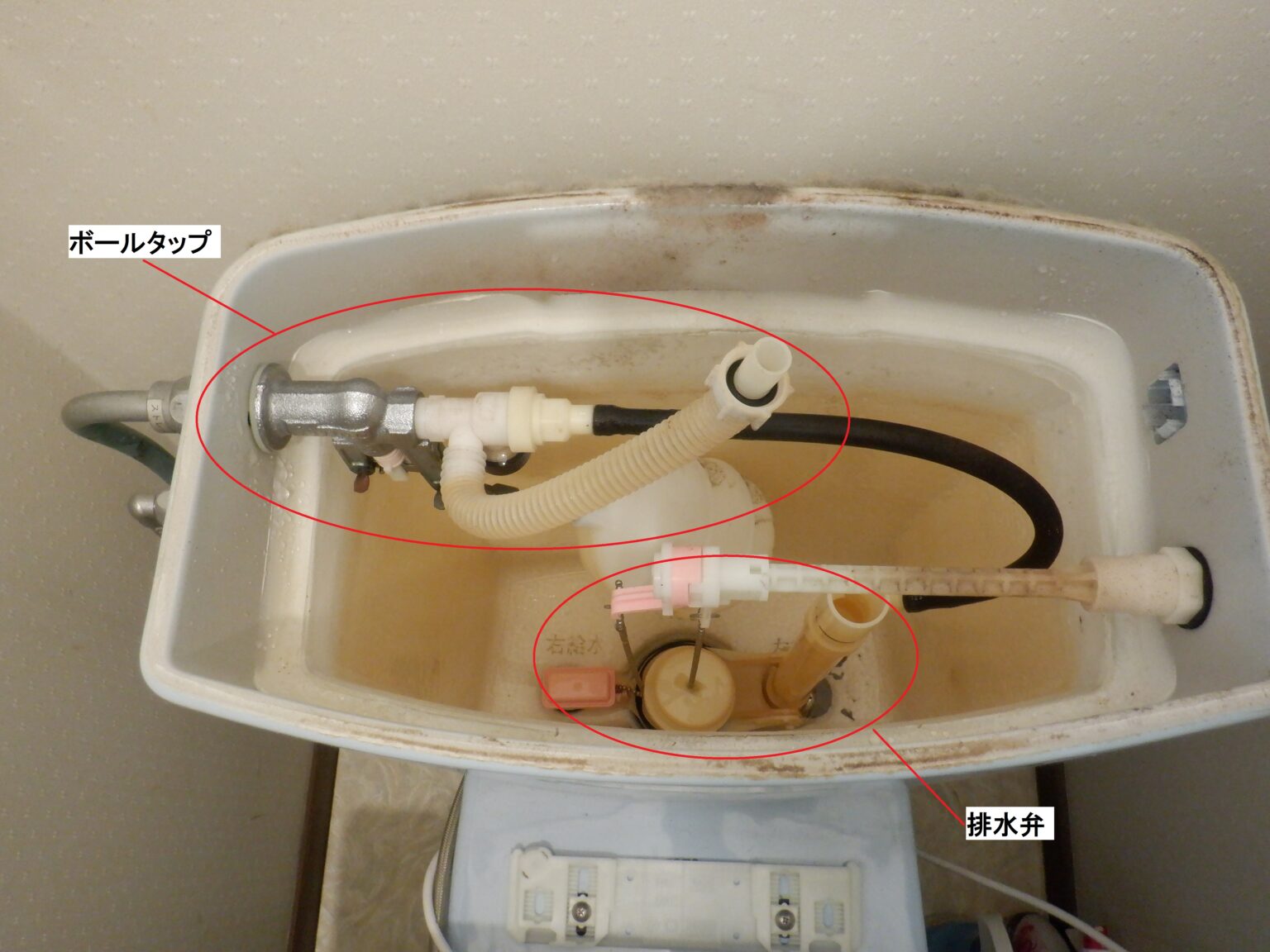  TOTO S791B ･S790B【ﾎﾞｰﾙﾀｯﾌﾟ・排水ﾊﾞﾙﾌﾞ部交換】 ﾄｲﾚﾛｰﾀﾝｸ水漏れ修理方法 