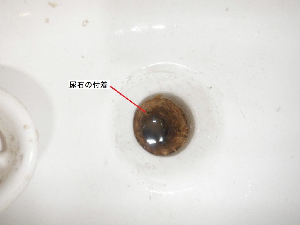 小便器の排水詰まり

尿石の付着