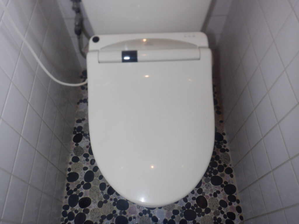 TOTO　ｳｫｼｭﾚｯﾄ　KN　TCF726（2008-2009年）

リテール品　（家電量販店　販売商品）