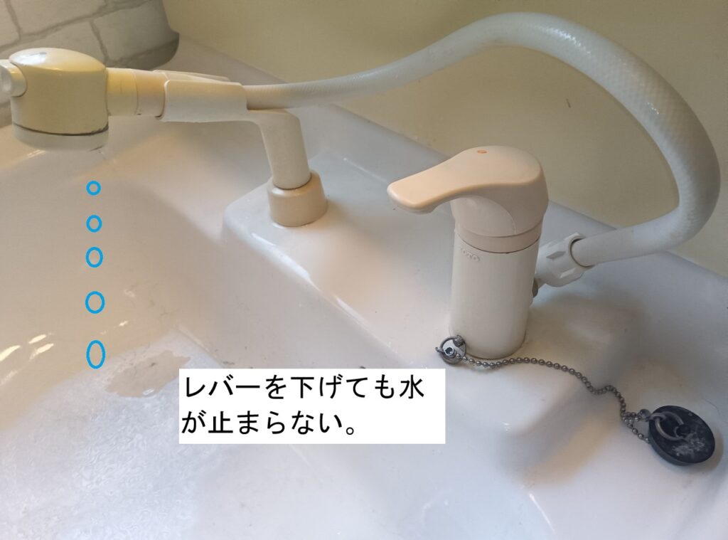 TOTO 洗面シングルレバー式洗髪シャワー水栓 TL385UGX♯N11(1997-2006年)
水が止まらない。